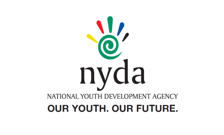 Apply to work as an IT Project Manager at NYDA